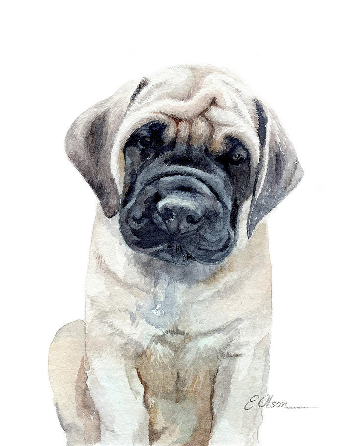 Mastiff pup Painting by Emily Olson