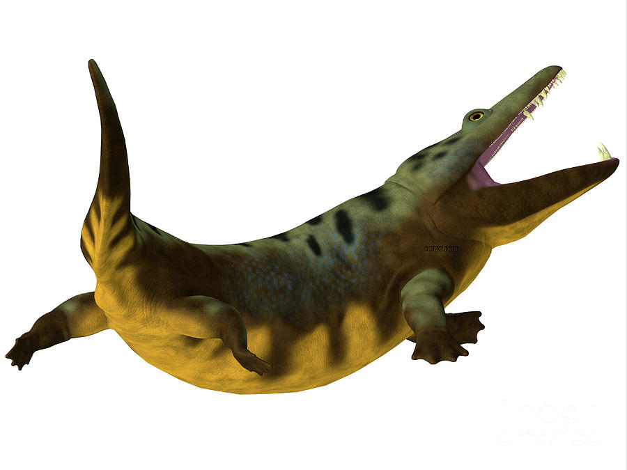 Mastodonsaurus Amphibian Tail Digital Art