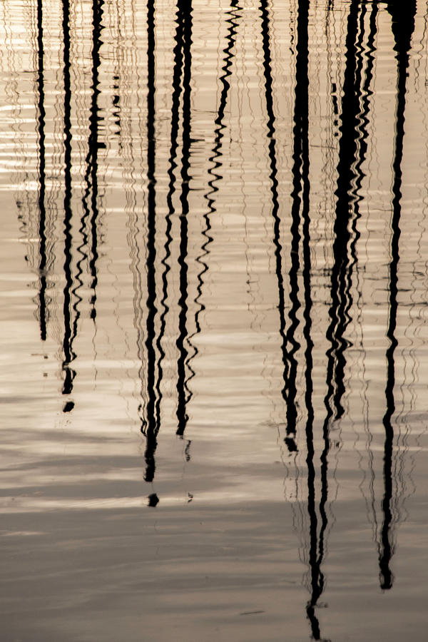 Masts Reflected Photograph by Kathy Paynter
