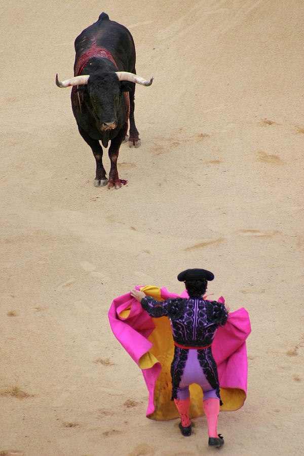 Matador Fighting Bull In Plaza De Toros Photograph by Dominic Bonuccelli Matador Fighting Bull In Plaza De Toros Photograph by Dominic Bonuccelli
