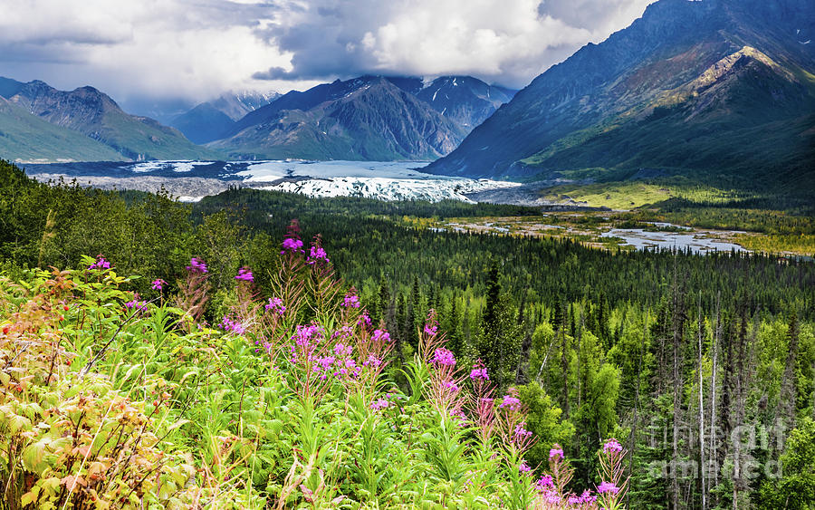 Matanuska valley, southcentral Alaska Photograph by Lyl Dil Creations