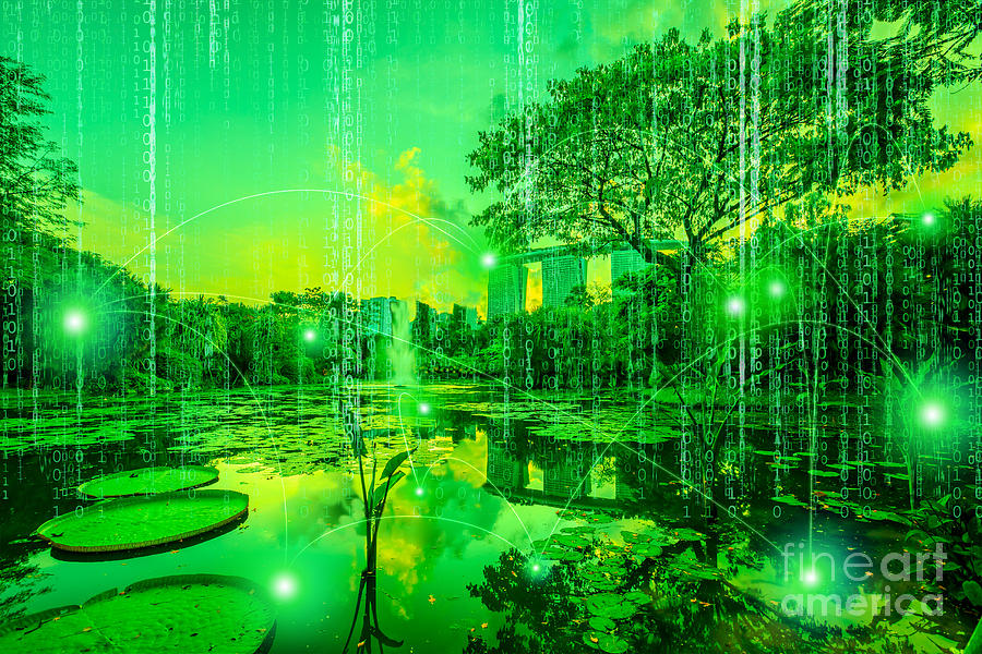 Matrix digital trees Photograph by Benny Marty