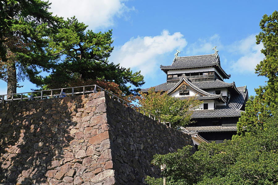Matsue Castle Photograph
