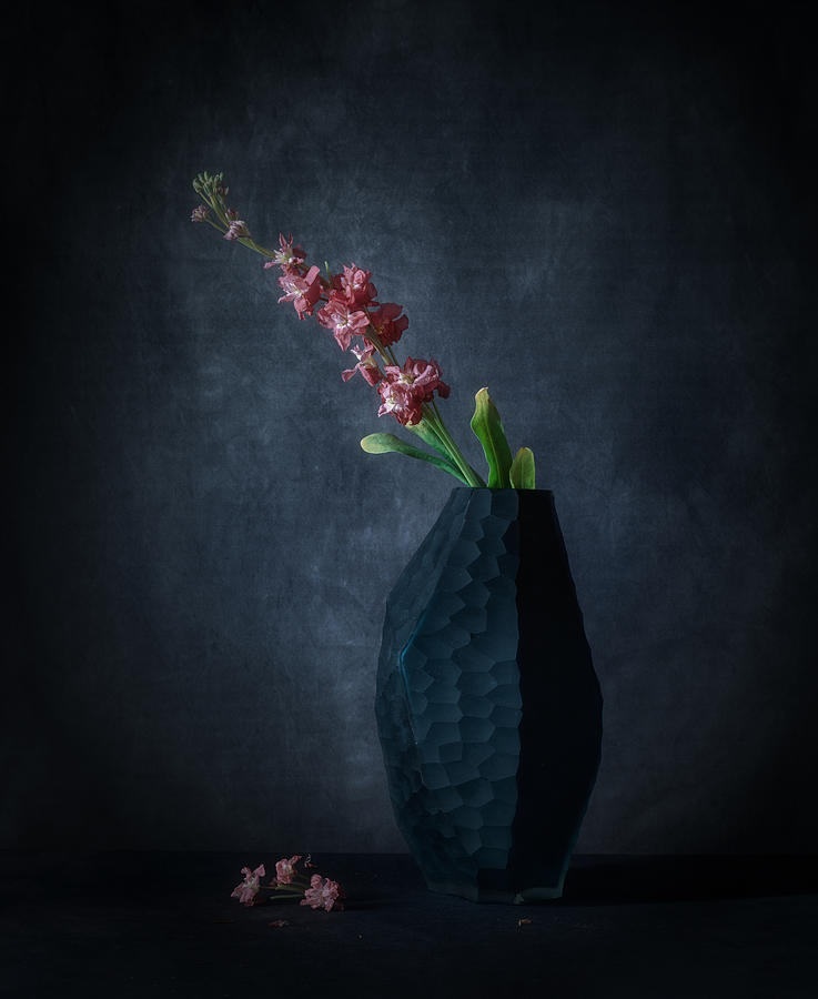 Cabbage Photograph - Matthiola Incana With A Rock Vase by May G