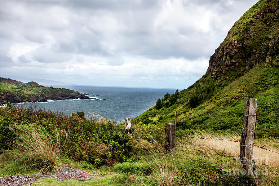 Maui Island Photograph by Ivete Basso Photography