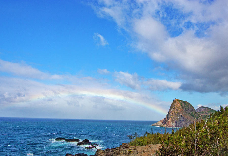 Maui Paradise Photograph by Anthony Jones