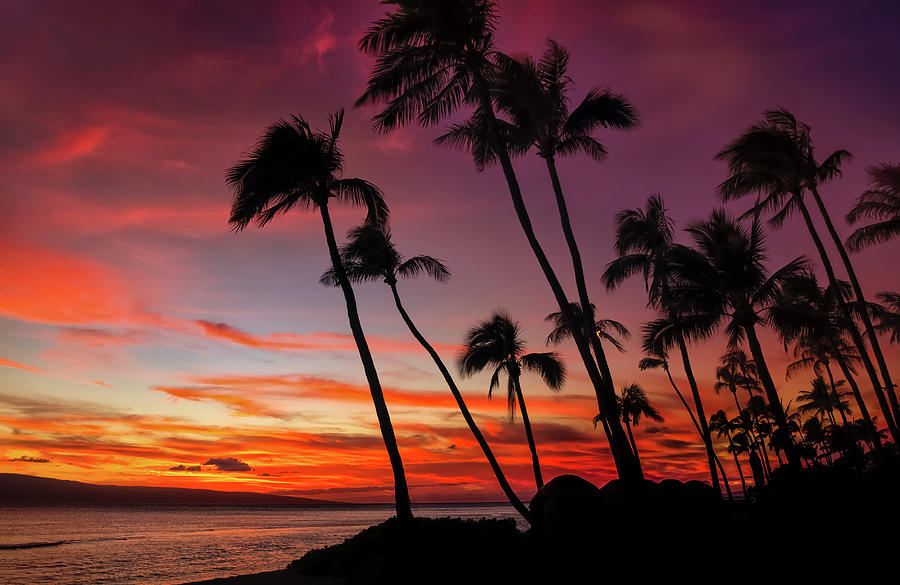 Nature Photograph - Maui Sunset by Jonathan Ross