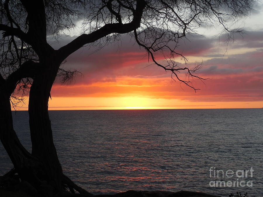 Maui Sunset Photograph - Maui Sunset by Lisa Venable Maui Sunset Photograph - Maui Sunset by Lisa Venable