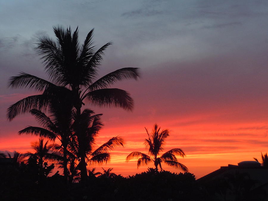 Sunset Photograph - Maui Sunset by Stacy Kelley