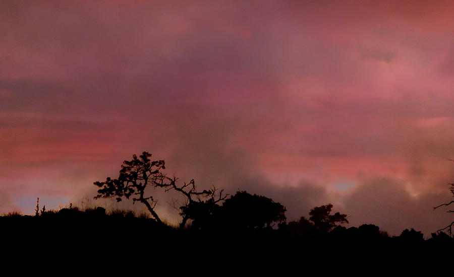 Mauna Kea Sunset Photograph by Lori Seaman