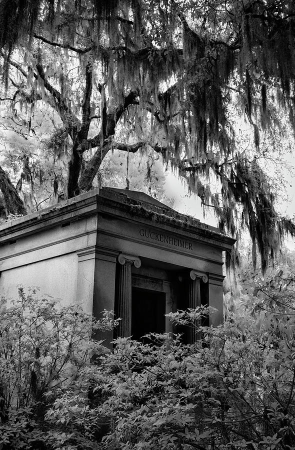 Mausoleum in Georgia II Photograph by Jon Glaser