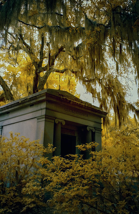 Mausoleum in Georgia  Photograph by Jon Glaser