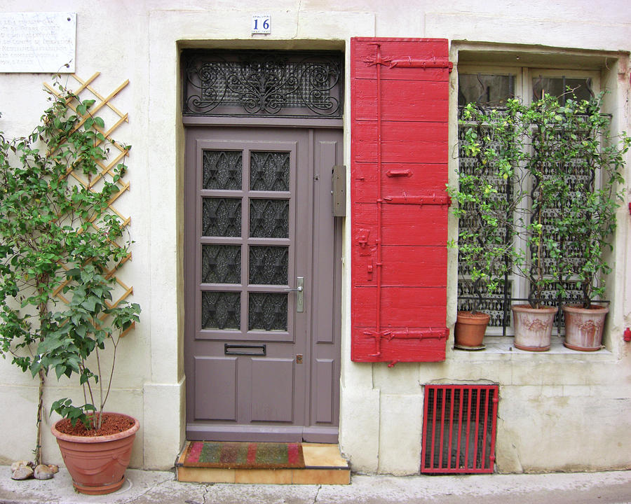 Mauve Red Door Photograph by Lupen Grainne