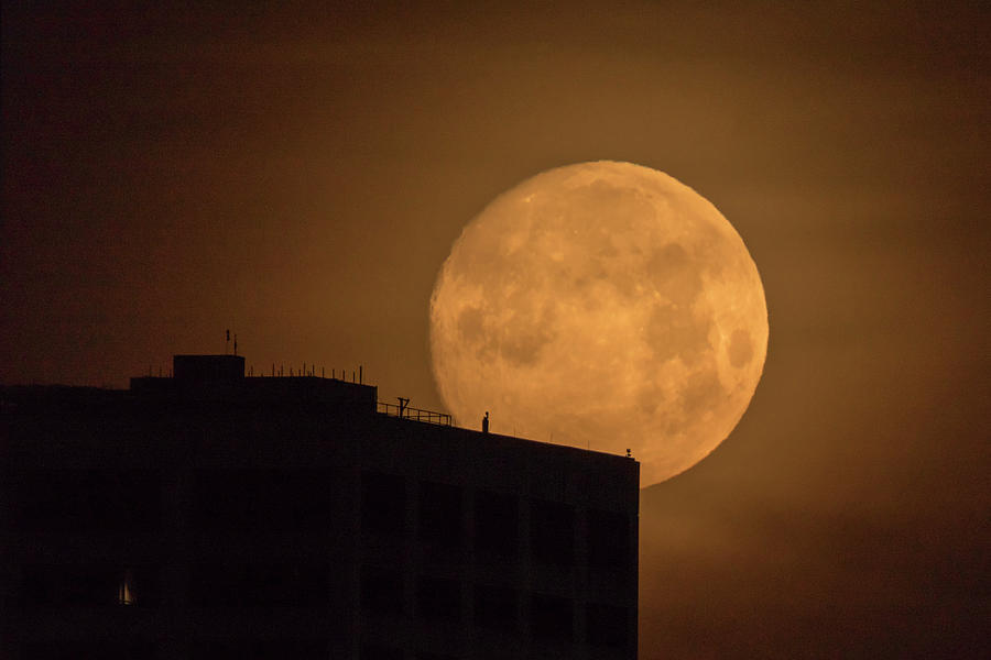 May Moonset Photograph by Steve Ferro