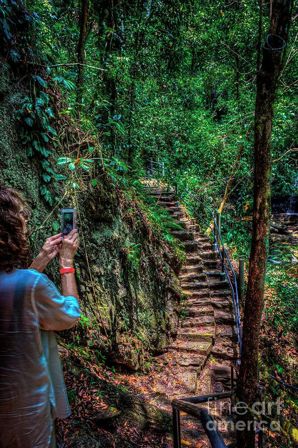 Maya King Waterfall Steps Photograph by David Zanzinger