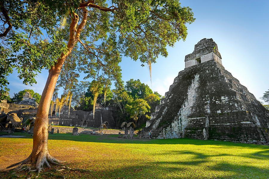 Mayan Photograph - Maya Ruins - Temple Of The Great by Jan Wlodarczyk