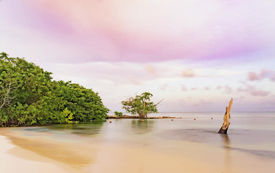 Mayan Sea Photograph by Silvia Marcoschamer