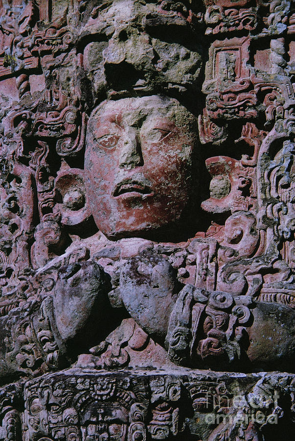 Mayan Stele In Grand Plaza, Copan, Honduras, Central America Photograph by Mayan