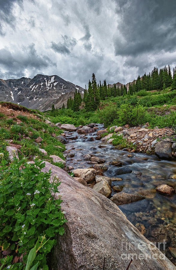 Mayflower Creek by Bitter Buffalo Photography Mayflower Creek by Bitter Buffalo Photography