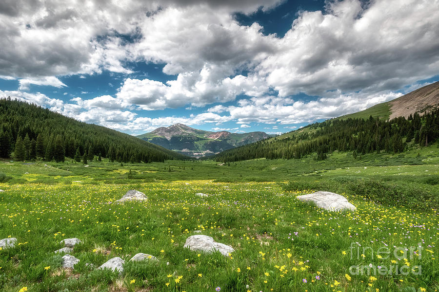 Mayflower Gulch Trail Photograph By Bitter Buffalo Photography