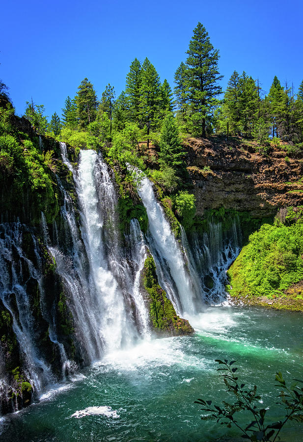 McArthur Burney Falls Photograph by Carolyn Derstine | Fine Art America