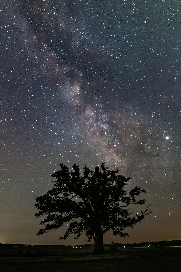 McBaine Bur Oak Milky Way Photograph by Joe Kopp