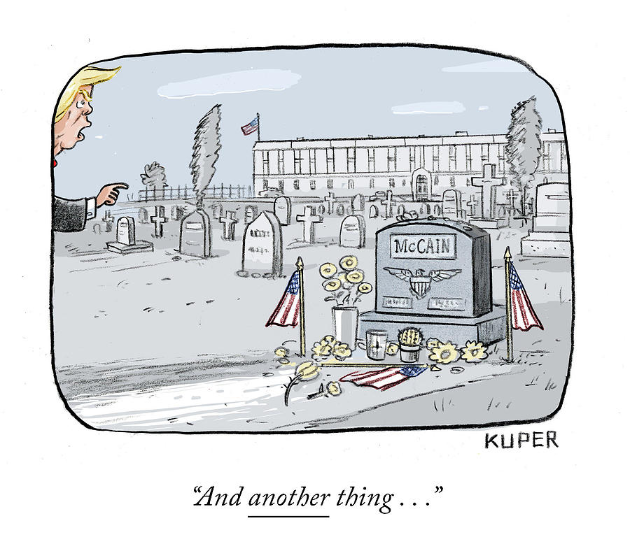 McCain Grave Drawing by Peter Kuper