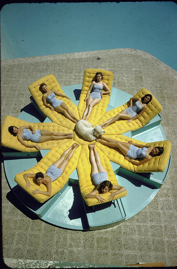 Mcculloch House-girls Sunbathing In Iden Photograph by Loomis Dean Mcculloch House-girls Sunbathing In Iden Photograph by Loomis Dean