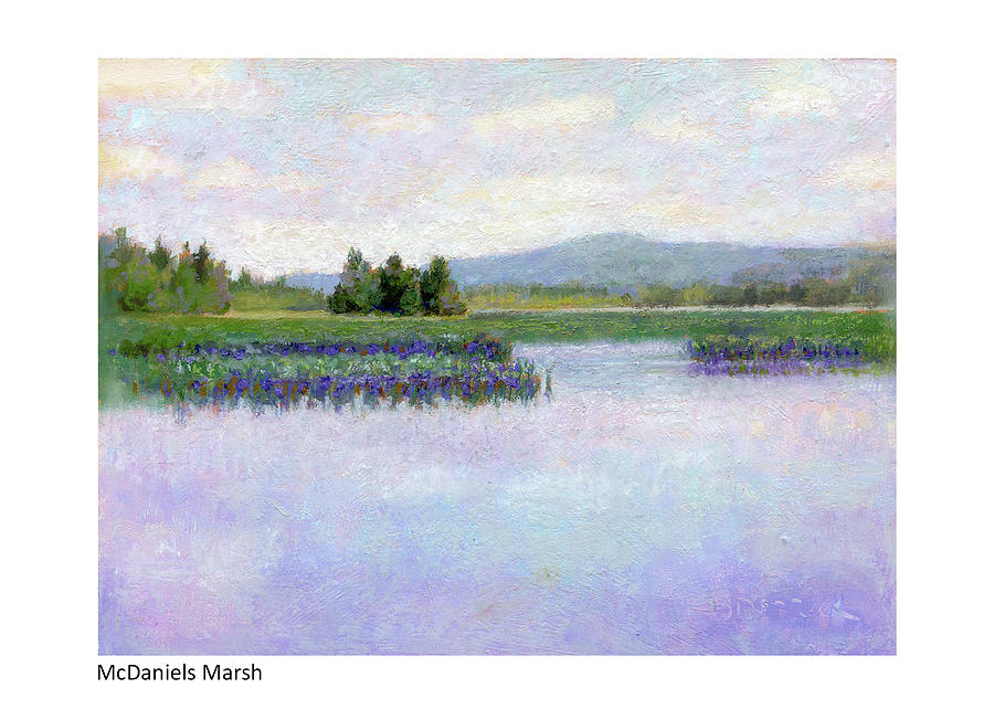 McDaniels Marsh I by Betsy Derrick McDaniels Marsh I by Betsy Derrick