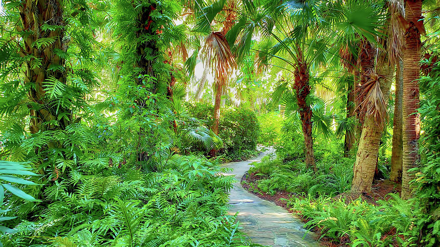 McKee Botanical Garden LIV Digital Art by Tina Baxter | Fine Art America