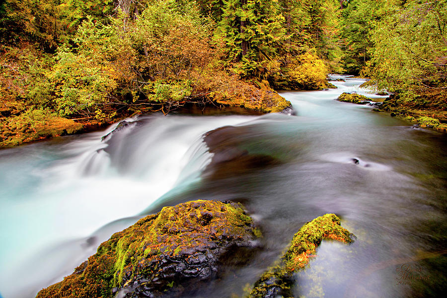 Mckenzie River Oregon Canvas Print, Photographic Print, Art Print ...