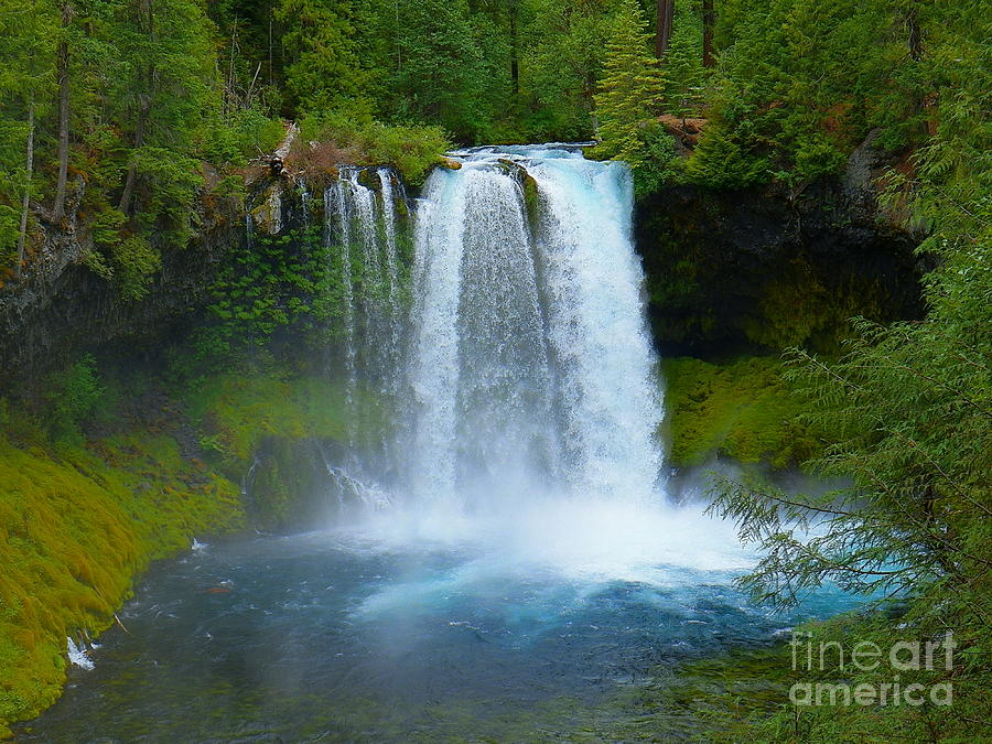 McKenzie River Koosah Falls Oregon Art Print Photograph by Art Sandi ...