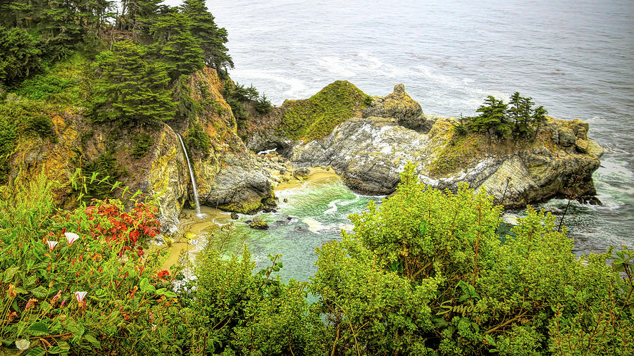McWay Falls Big Sur 2 Photograph by Floyd Snyder