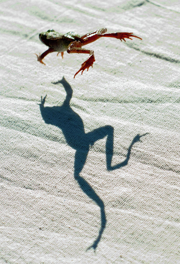 Me And My Shadow Photograph by J. Ronald Lee