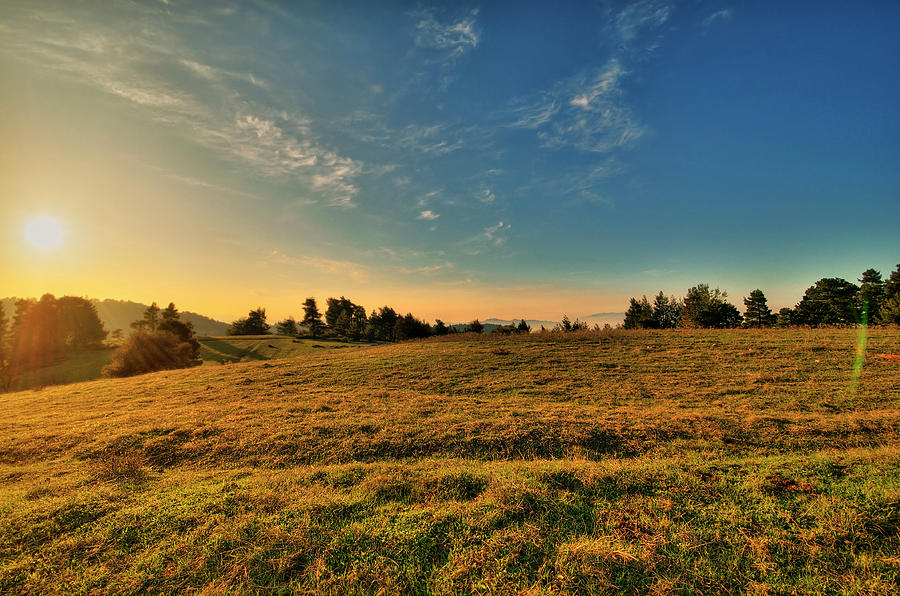 Meadow Against Sun Photograph by Elias Kordelakos Photography - Fine ...