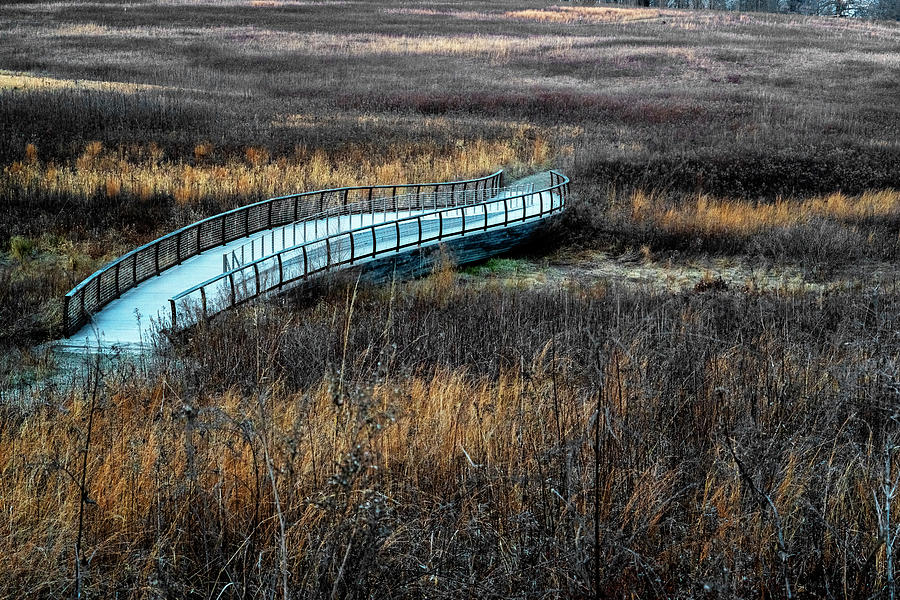Meadow Bridge Photograph by Tom Singleton