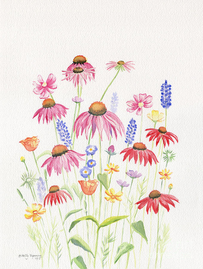 Flower Painting - Meadow Flowers by Melly Terpening