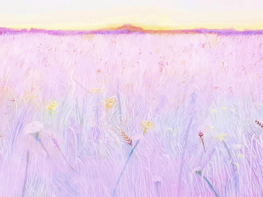 Meadow in Sunset by Joanne Perkins Meadow in Sunset by Joanne Perkins