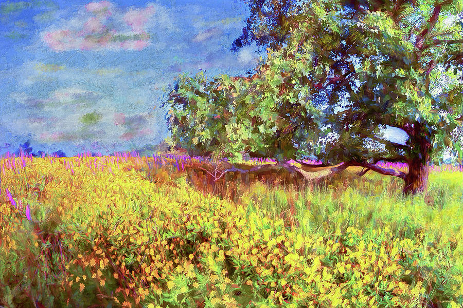 Meadow of Color AP Painting by Dan Carmichael