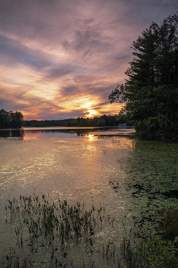 Meadow Pond Sunset by MIKE MCQUADE Meadow Pond Sunset by MIKE MCQUADE