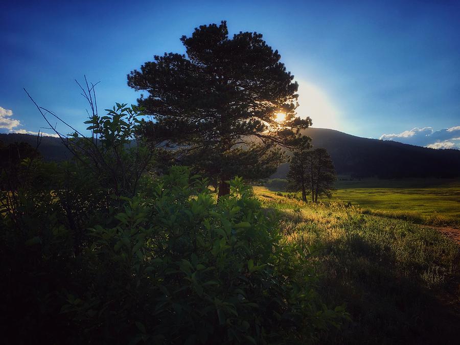 Meadow Twilight Photograph by Dan Miller