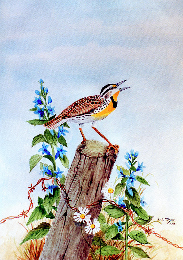 Flower Painting - Meadowlark 2 by Arie Reinhardt Taylor