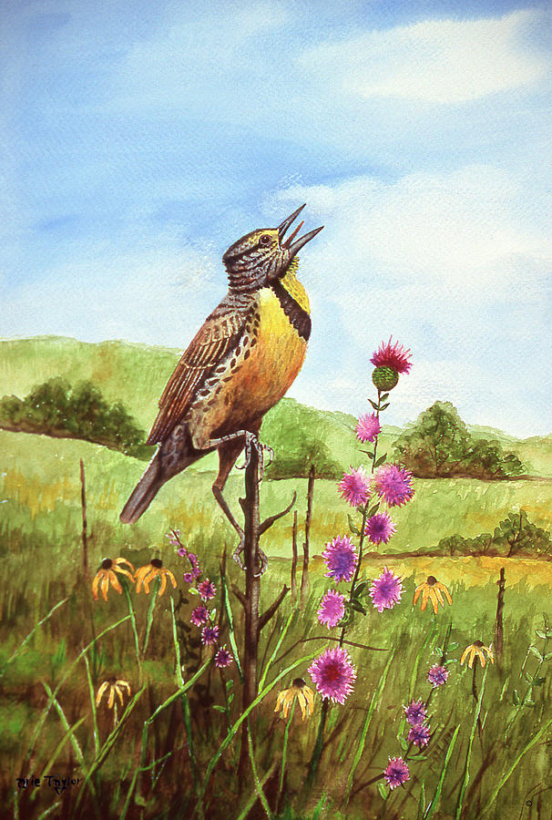 Bird Painting - Meadowlark 4 by Arie Reinhardt Taylor