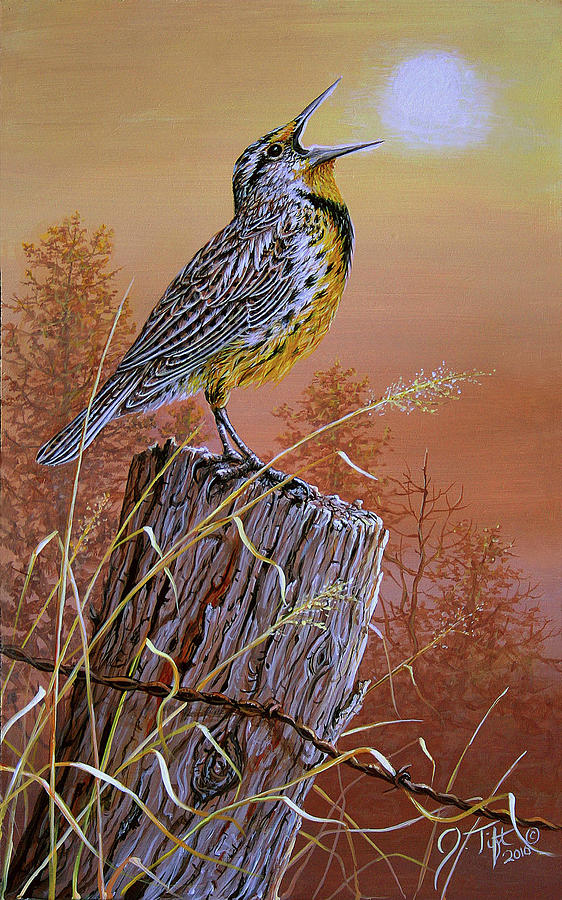 Meadowlark Painting - Meadowlark Painting by Jeff Tift