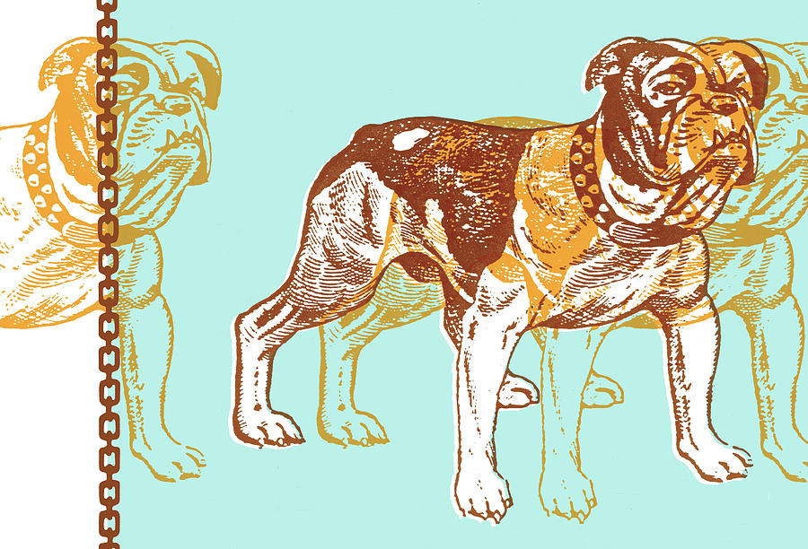 Vintage Drawing - Mean dog double exposure by CSA Images