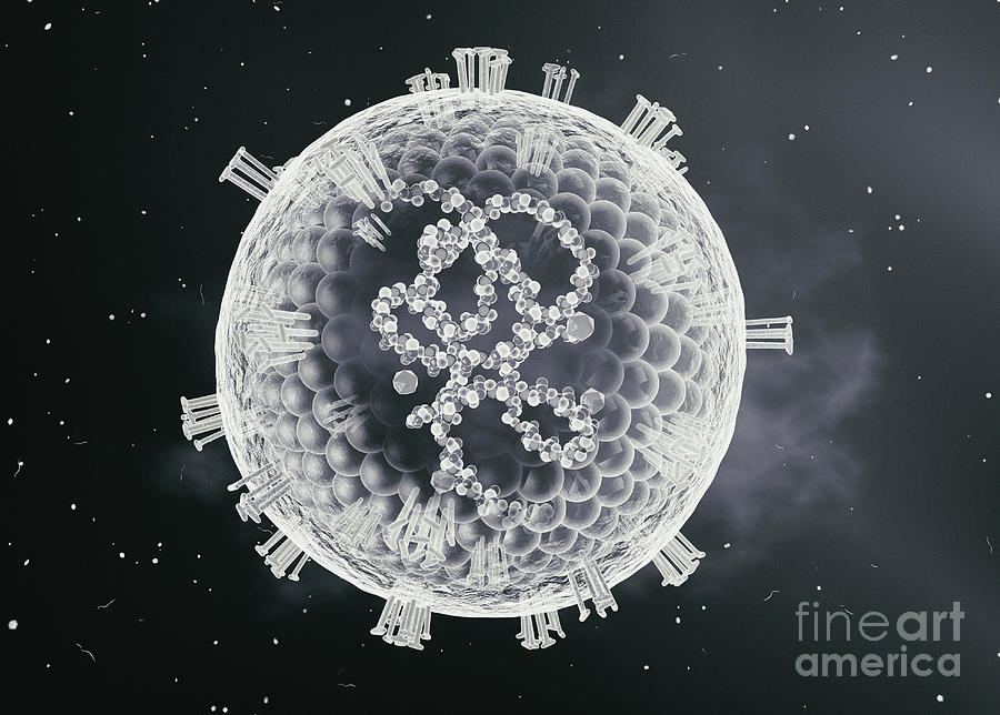 Measles Virus by Roger Harris/science Photo Library