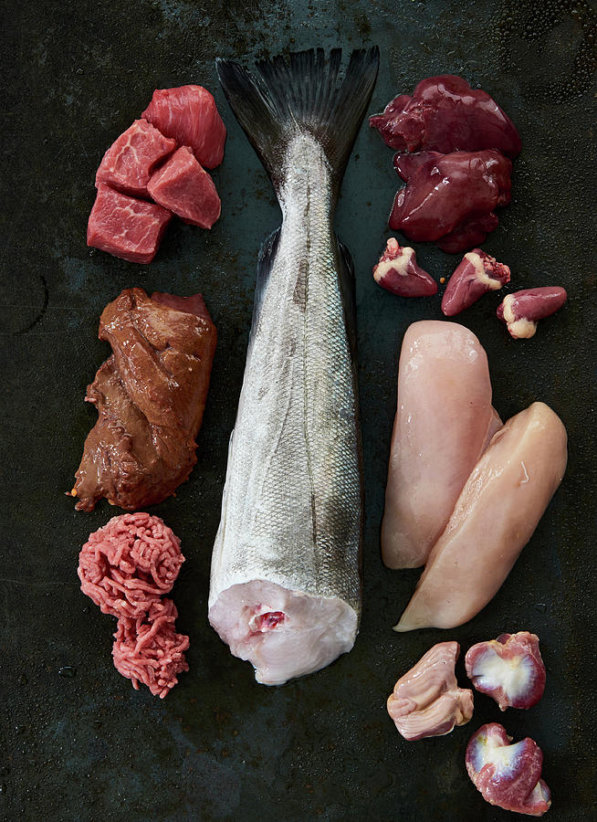 Meat, Fish, Offal And Chicken Breast On A Black Background ingredients For Dog Food Photograph by Robbert Koene