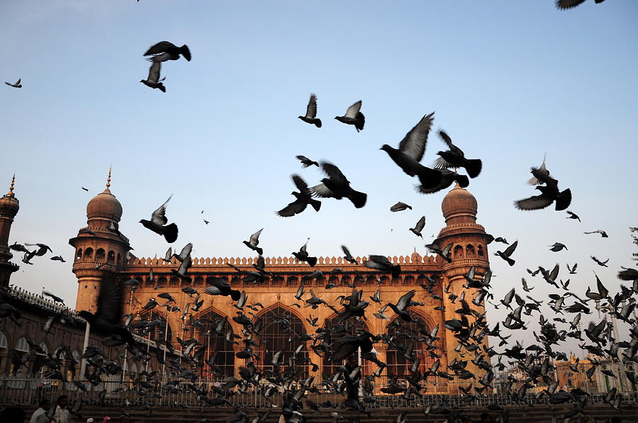 Mecca Masjid Pigeons Photograph by Rahulravindraphotography