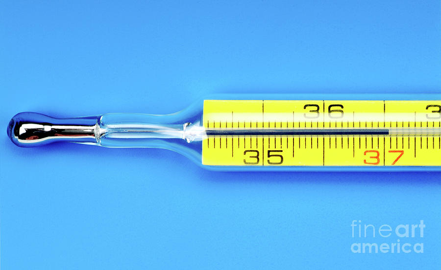 Medical Thermometer Photograph by Martyn F. Chillmaid/science Photo Library