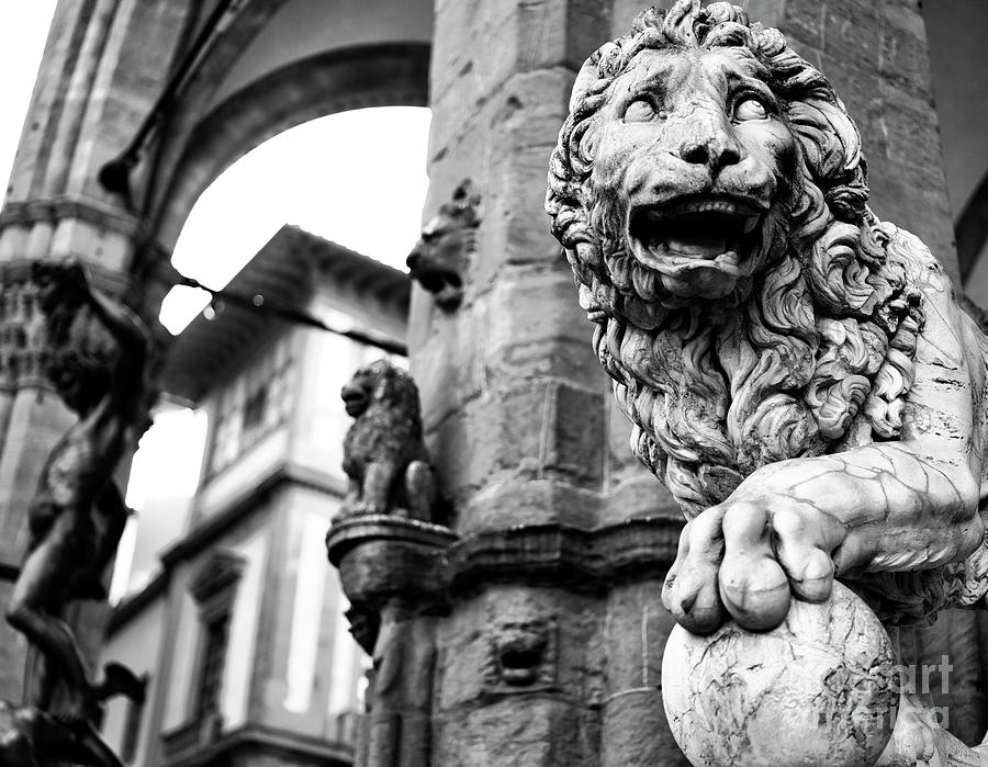 Medici Lion at the Loggia dei Lanzi in Florence Photograph by John Rizzuto